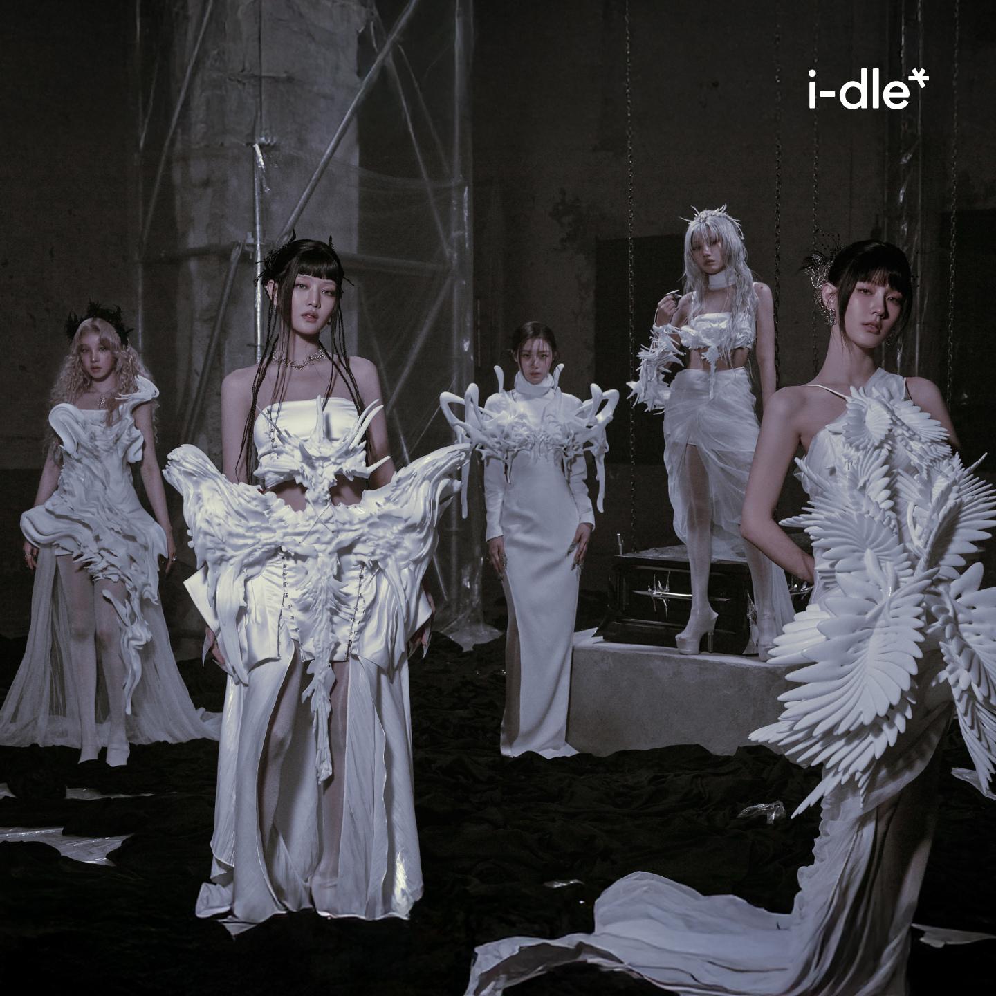 No.1875,1876 ミンニ トレカ MAKESTAR パンダ うさぎ G)I-DLE GIDLE 